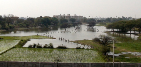 Yapral Lake on south side